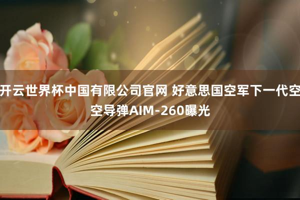 开云世界杯中国有限公司官网 好意思国空军下一代空空导弹AIM-260曝光