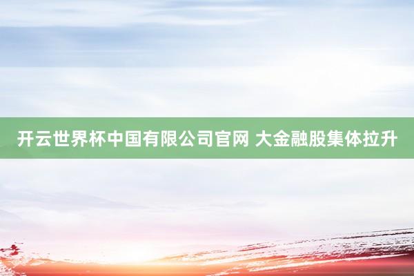 开云世界杯中国有限公司官网 大金融股集体拉升