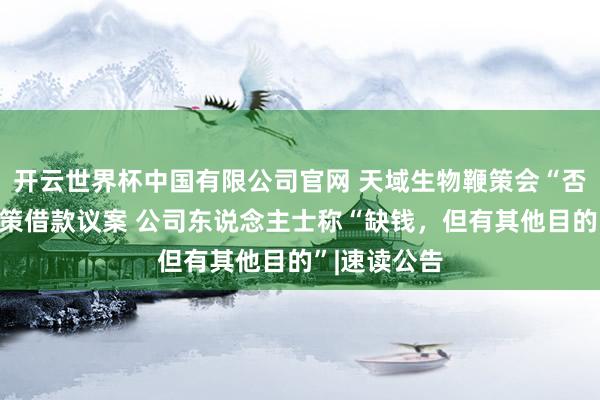 开云世界杯中国有限公司官网 天域生物鞭策会“否决”向大鞭策借款议案 公司东说念主士称“缺钱，但有其他目的”|速读公告