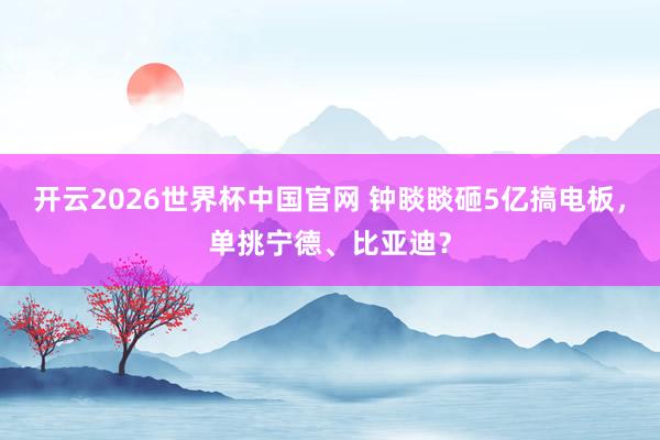 开云2026世界杯中国官网 钟睒睒砸5亿搞电板,单挑宁德、比亚迪?