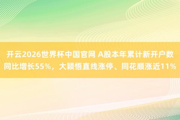 开云2026世界杯中国官网 A股本年累计新开户数同比增长55%，大颖悟直线涨停、同花顺涨近11%