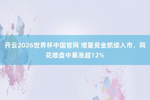 开云2026世界杯中国官网 增量资金抓续入市,同花顺盘中暴涨超12%
