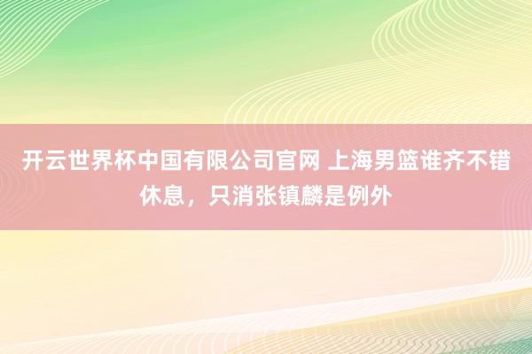 开云世界杯中国有限公司官网 上海男篮谁齐不错休息,只消张镇麟是例外