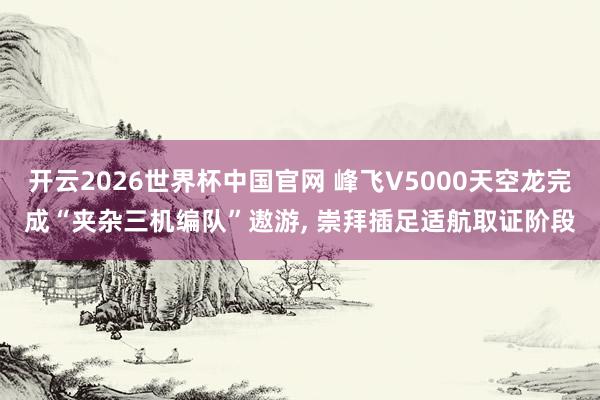 开云2026世界杯中国官网 峰飞V5000天空龙完成“夹杂三机编队”遨游, 崇拜插足适航取证阶段