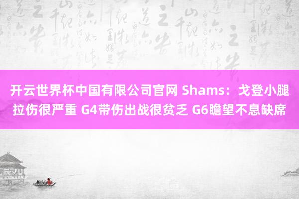 开云世界杯中国有限公司官网 Shams：戈登小腿拉伤很严重 G4带伤出战很贫乏 G6瞻望不息缺席