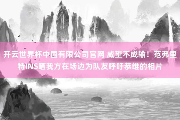 开云世界杯中国有限公司官网 威望不成输！范弗里特INS晒我方在场边为队友呼吁恭维的相片