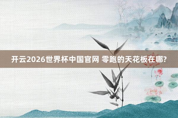 开云2026世界杯中国官网 零跑的天花板在哪?