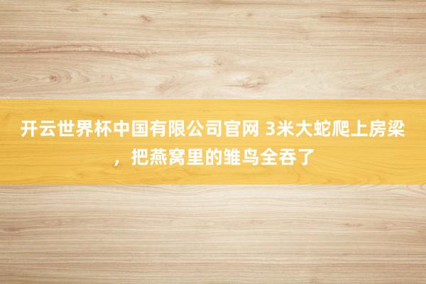 开云世界杯中国有限公司官网 3米大蛇爬上房梁,把燕窝里的雏鸟全吞了