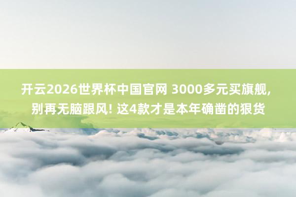 开云2026世界杯中国官网 3000多元买旗舰， 别再无脑跟风! 这4款才是本年确凿的狠货
