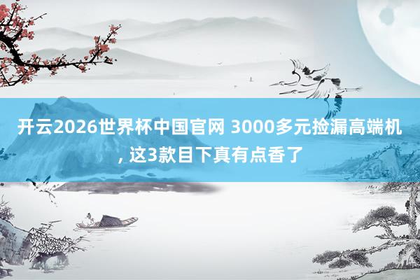 开云2026世界杯中国官网 3000多元捡漏高端机， 这3款目下真有点香了