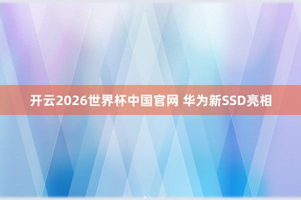 开云2026世界杯中国官网 华为新SSD亮相