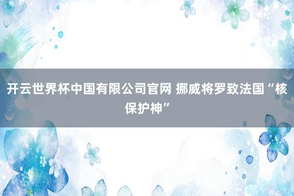 开云世界杯中国有限公司官网 挪威将罗致法国“核保护神”