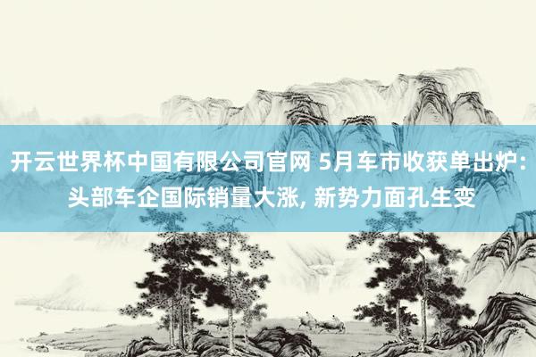 开云世界杯中国有限公司官网 5月车市收获单出炉: 头部车企国际销量大涨, 新势力面孔生变
