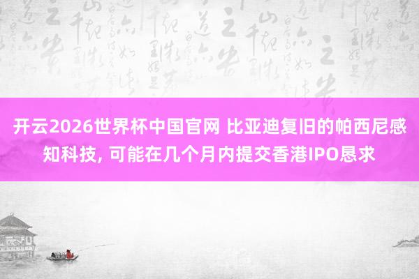 开云2026世界杯中国官网 比亚迪复旧的帕西尼感知科技， 可能在几个月内提交香港IPO恳求