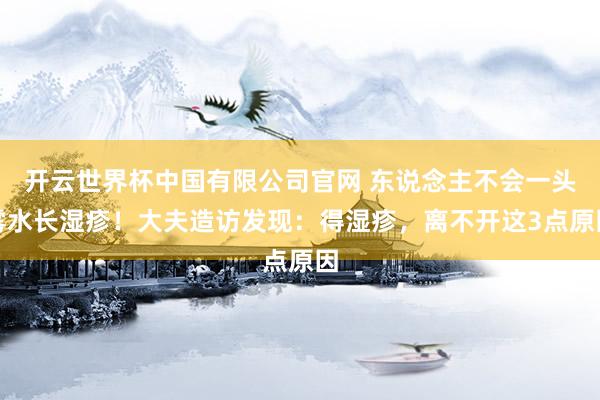 开云世界杯中国有限公司官网 东说念主不会一头雾水长湿疹!大夫造访发现:得湿疹,离不开这3点原因