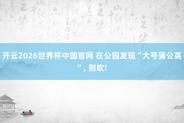 开云2026世界杯中国官网 在公园发现“大号蒲公英”， 别吹!