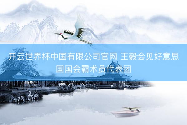 开云世界杯中国有限公司官网 王毅会见好意思国国会霸术员代表团