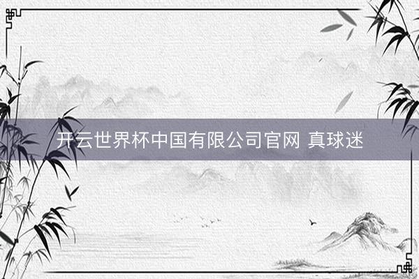 开云世界杯中国有限公司官网 真球迷