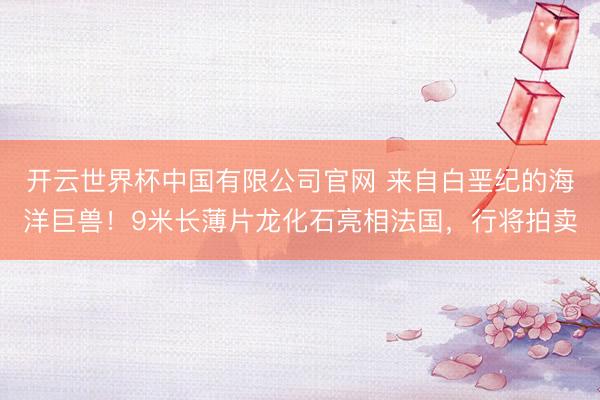开云世界杯中国有限公司官网 来自白垩纪的海洋巨兽!9米长薄片龙化石亮相法国,行将拍卖