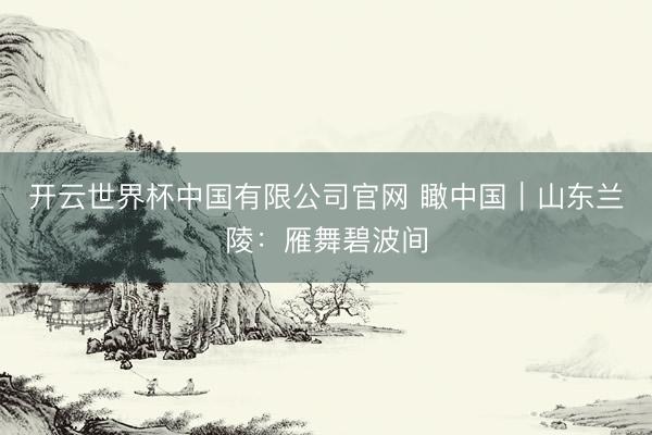 开云世界杯中国有限公司官网 瞰中国｜山东兰陵：雁舞碧波间